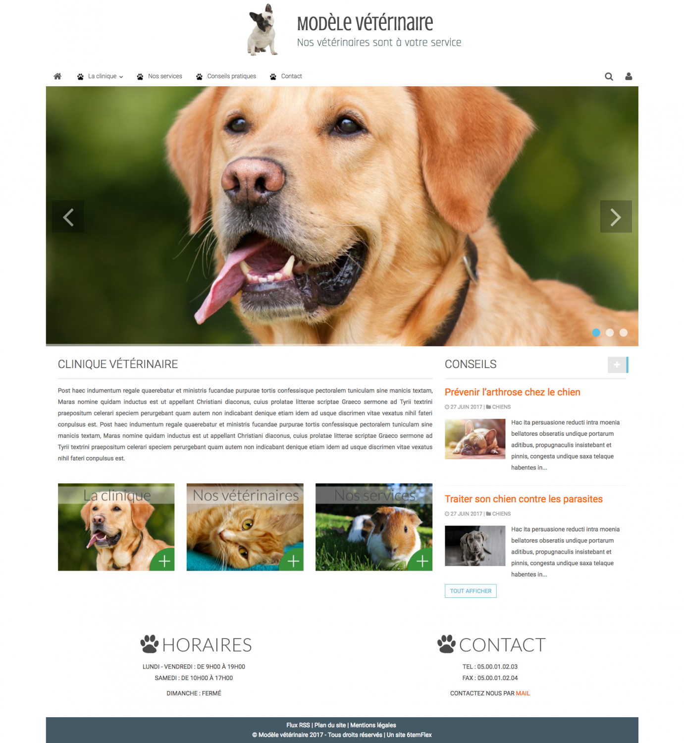Site internet vétérinaire