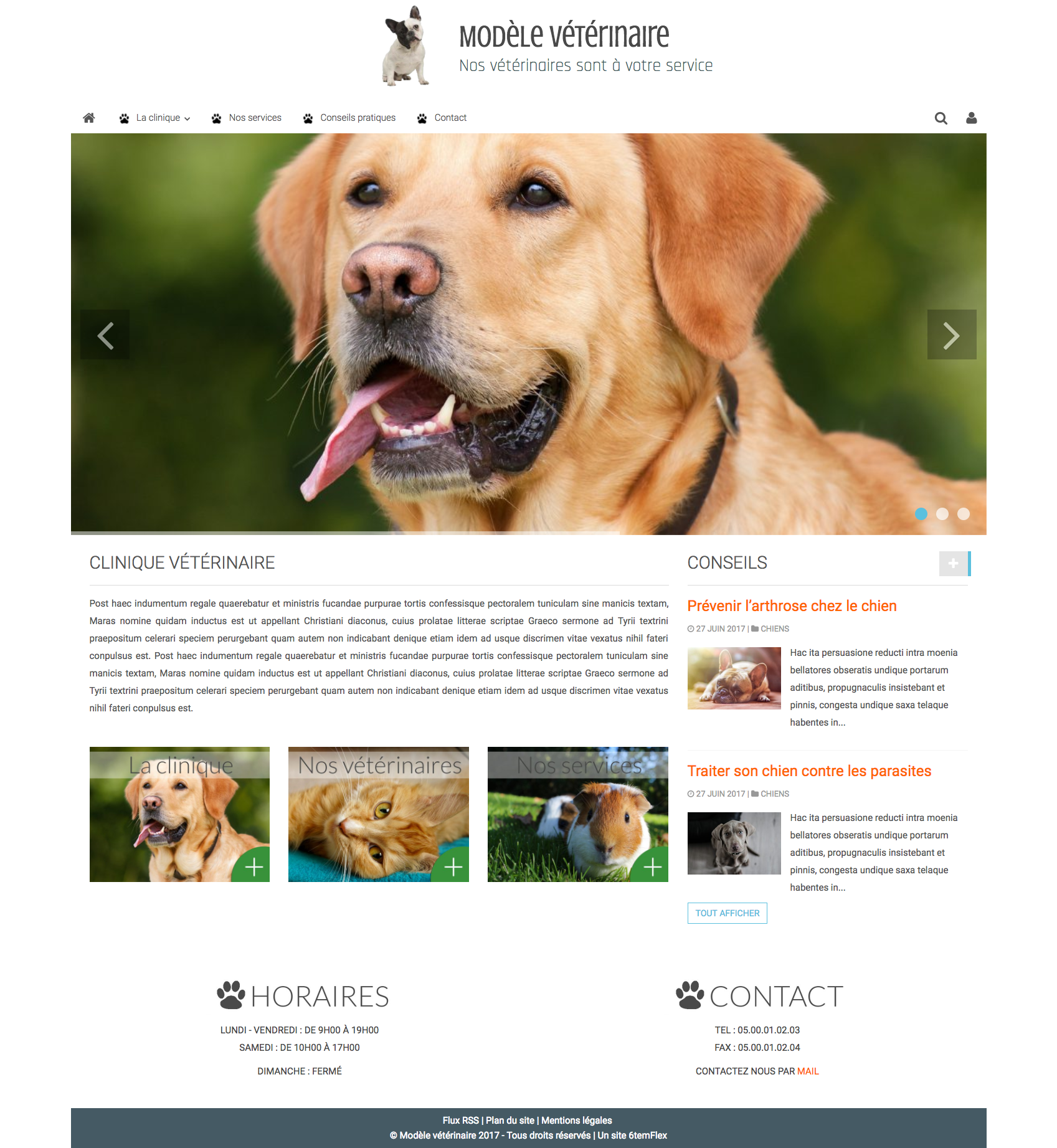 Créer un site internet pour son cabinet vétérinaire  6temFlex  Créer